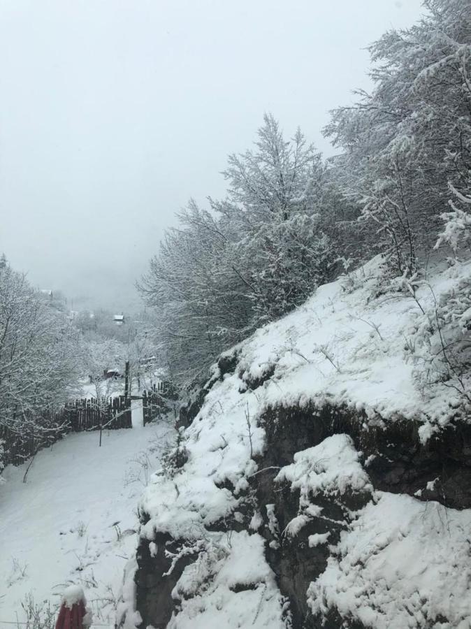 Popock Dilijan 2 Bed & Breakfast Bagian luar foto