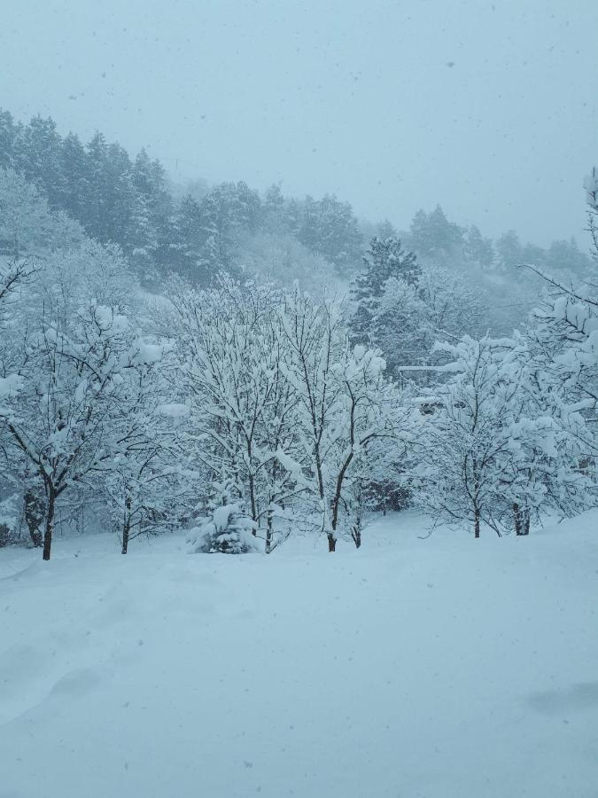 Popock Dilijan 2 Bed & Breakfast Bagian luar foto